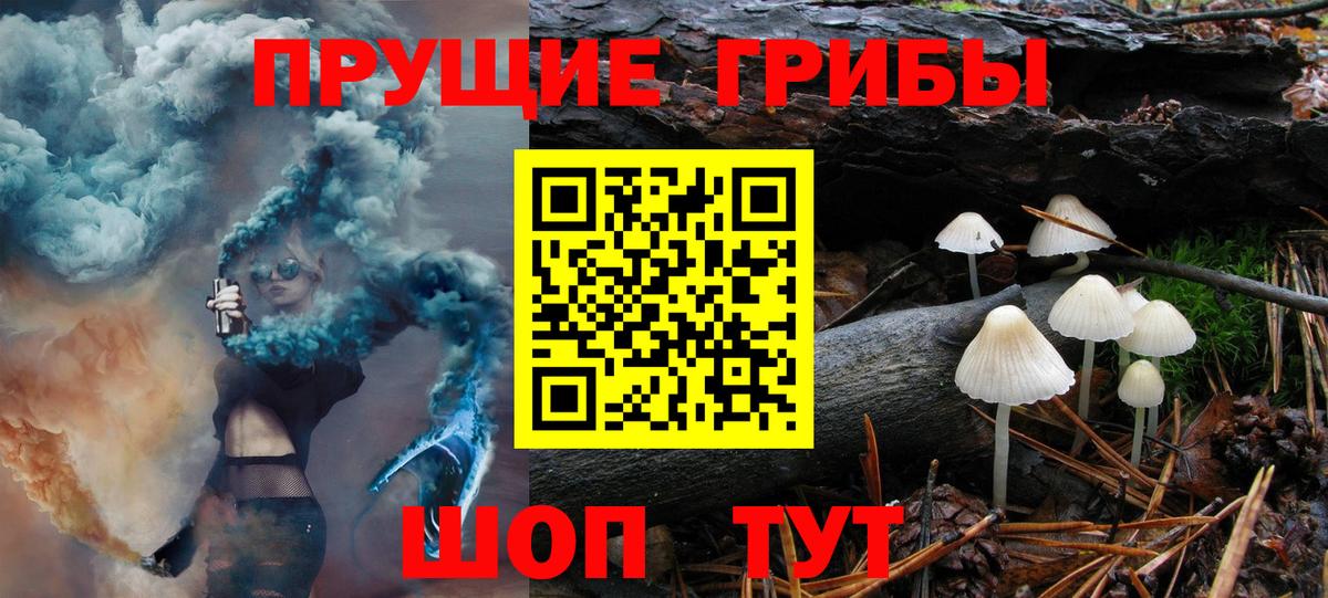 Псилоцибиновые грибы мицелий Кандалакша