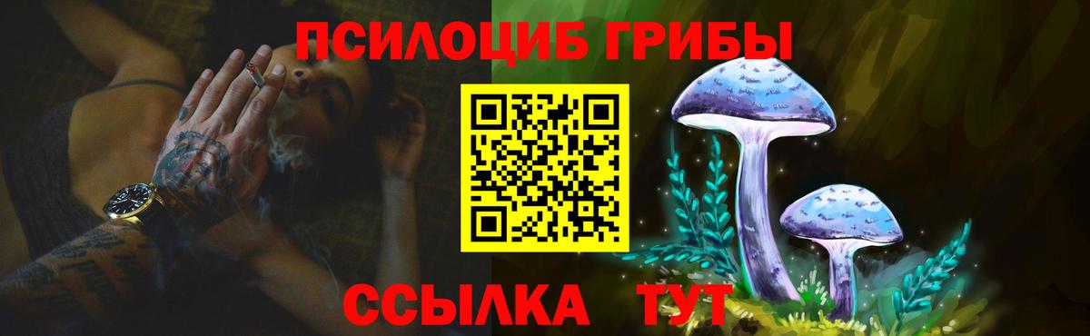 Псилоцибиновые грибы GOLDEN TEACHER  Галлюциногенные грибы Psilocybe  Вход с VPN  Кандалакша 